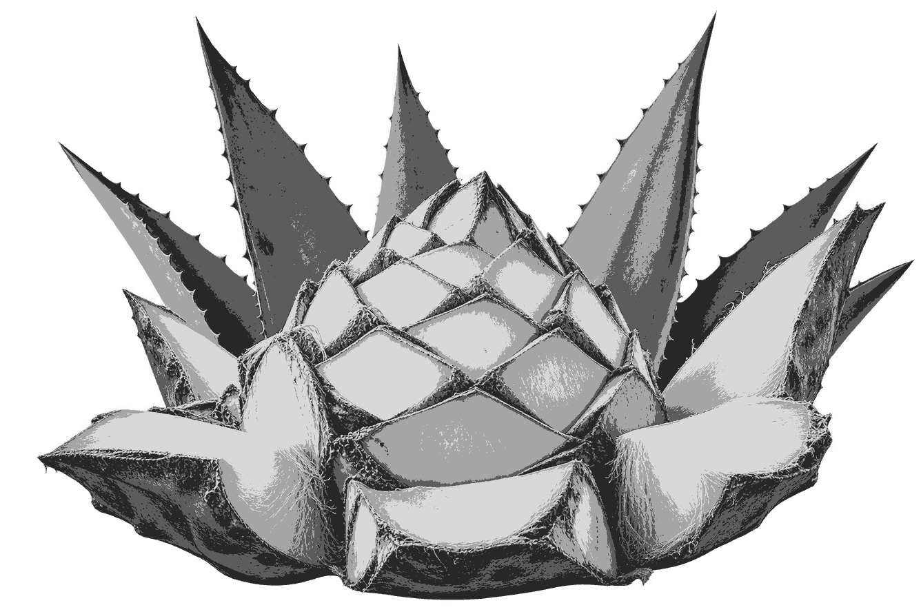 agave_cortado_100kb